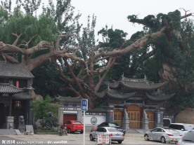 中华民族园大门