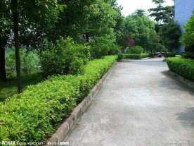 小路