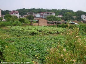 小村