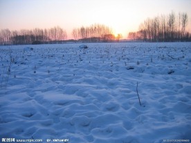 漠北冬雪