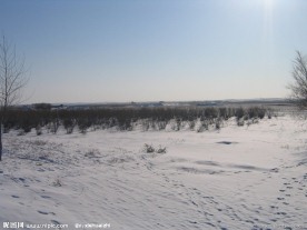 漠北雪地