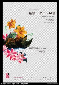 百合花