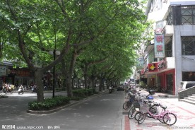 扬州风光