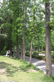 扬州风光