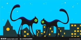 两只黑猫