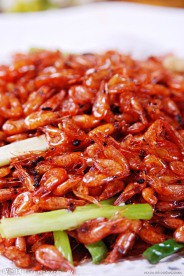香葱小河虾