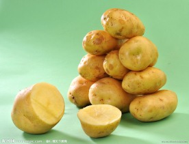 马铃薯
