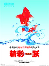 鲤鱼跃龙门