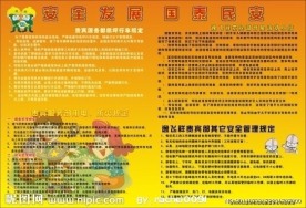 飞机场安全版报