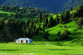 新疆草原