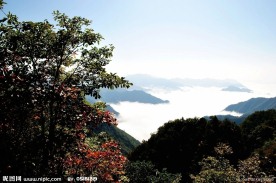 镇安塔云山 秋山晨雾