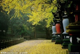天童禅寺