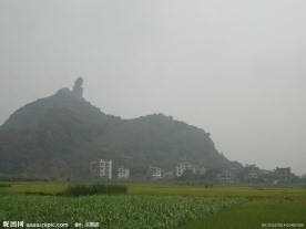 绿色田园风光