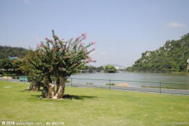中国最美绿道肇庆