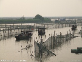 长荡湖