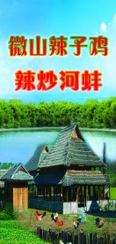 鸡院 鸡窝