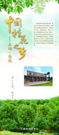 桂花之乡X展架