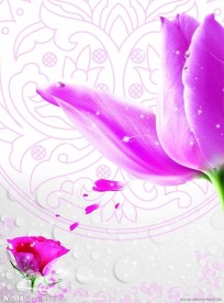 郁金香粉色移门