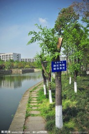 嘤鸣湖畔