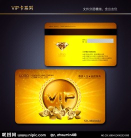 VIP卡 金卡 银卡 贵宾卡 会员卡