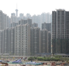 城市森林