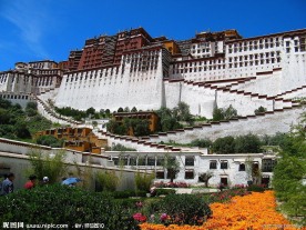 布达拉宫外景