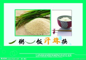 节约粮食展板