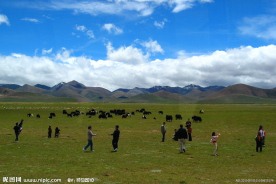 高原风光