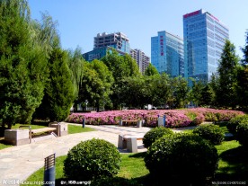 城市公园