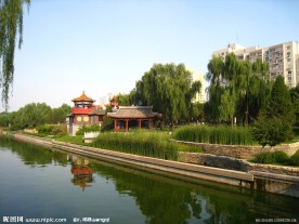 城市公园