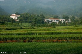 农村新居