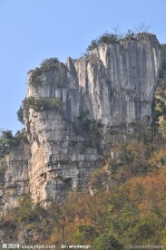 山石