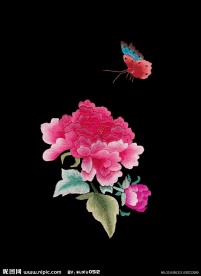 蝶恋花