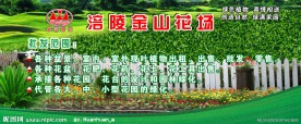 金山花场 盆景