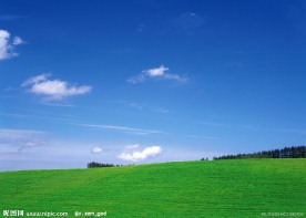 蓝天白云绿野田野土路