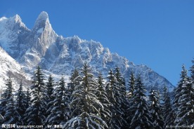 阿尔卑斯山