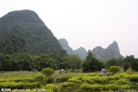 山 风景