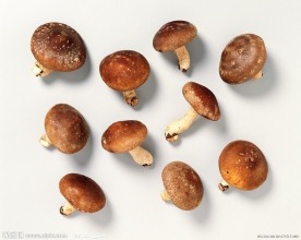 香菇