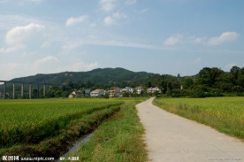 田园风光