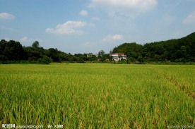 田园风光