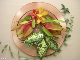 花叶摆饰品