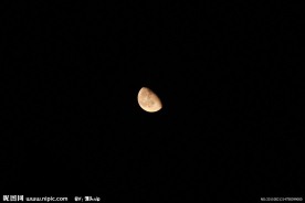 月相农历20