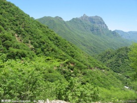 山林