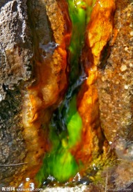 小溪河流