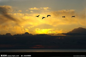 青海湖自然风光