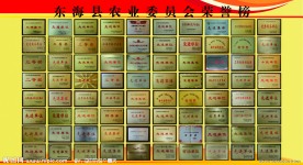 奖牌(单个图形未分层)