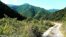 山间小路