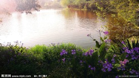 太子湖早晨
