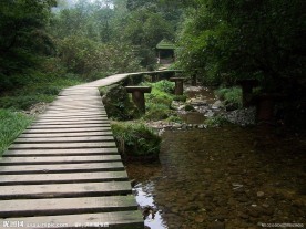 小木桥