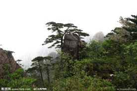 黄山风景